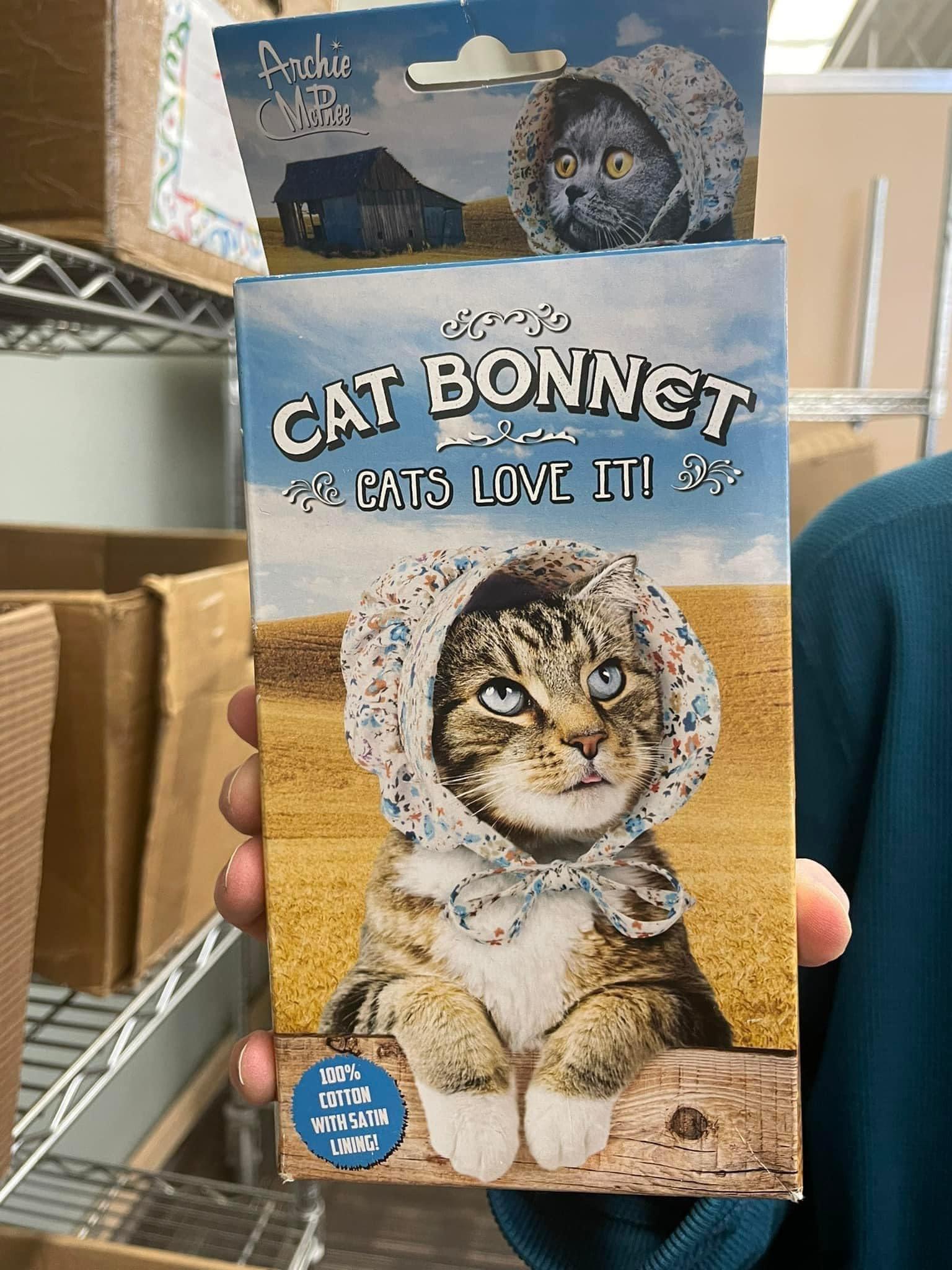 Meme dump 113: spooky ghost hours