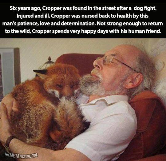 Māori carved Boba Fett helmet presented to Tem Morrison by its maker