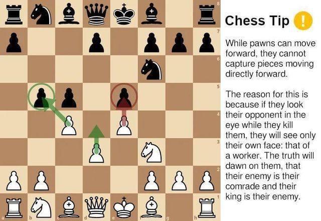 Why Pawns kill diagonally