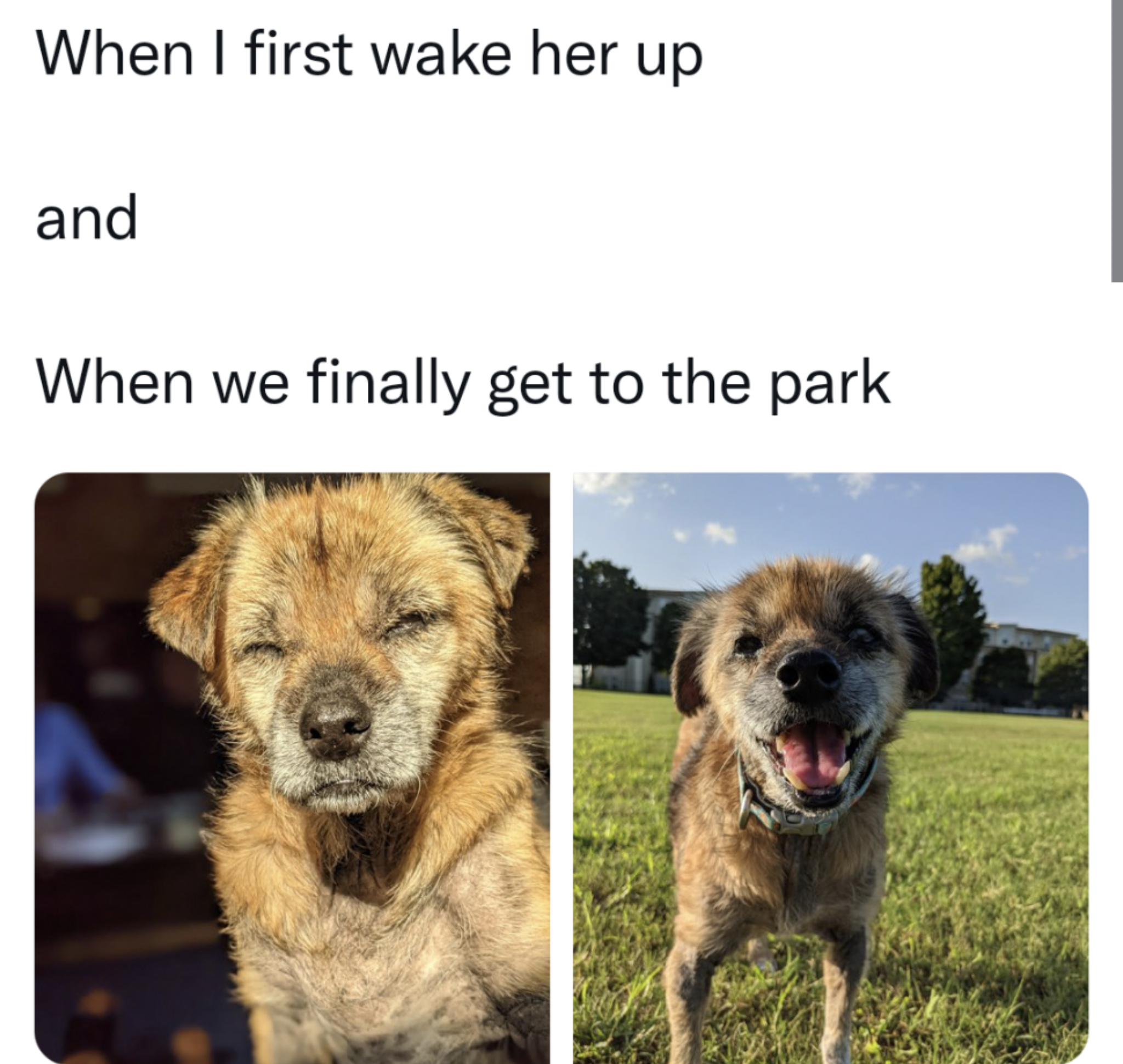 Here are 20 nice things to make you feel nice. Nice.