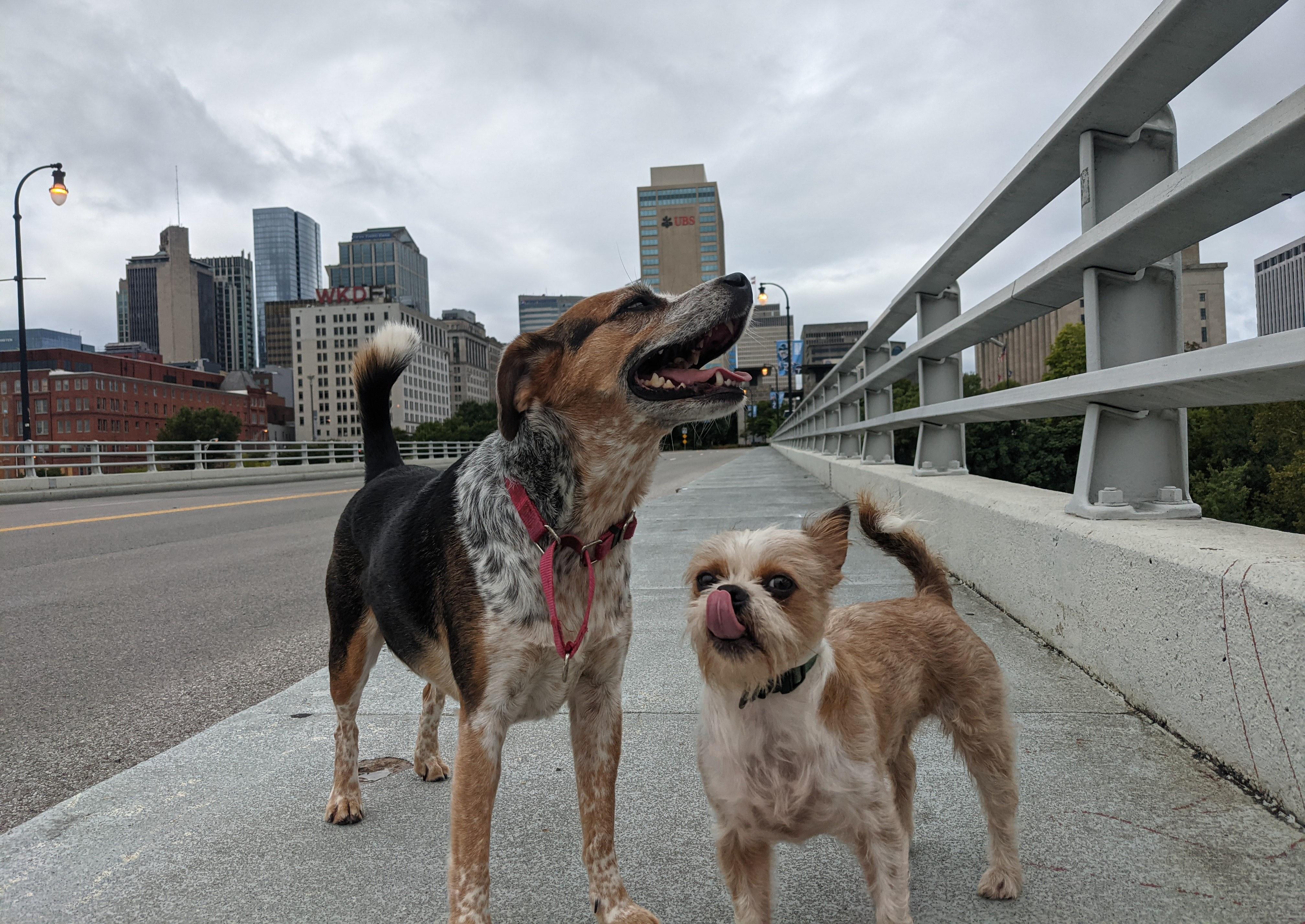 Final day of Puckett Week