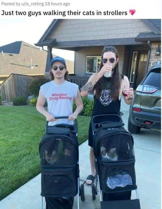 Guys with cats