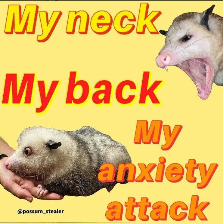 Meme dump 117: Chad Wolfhammer