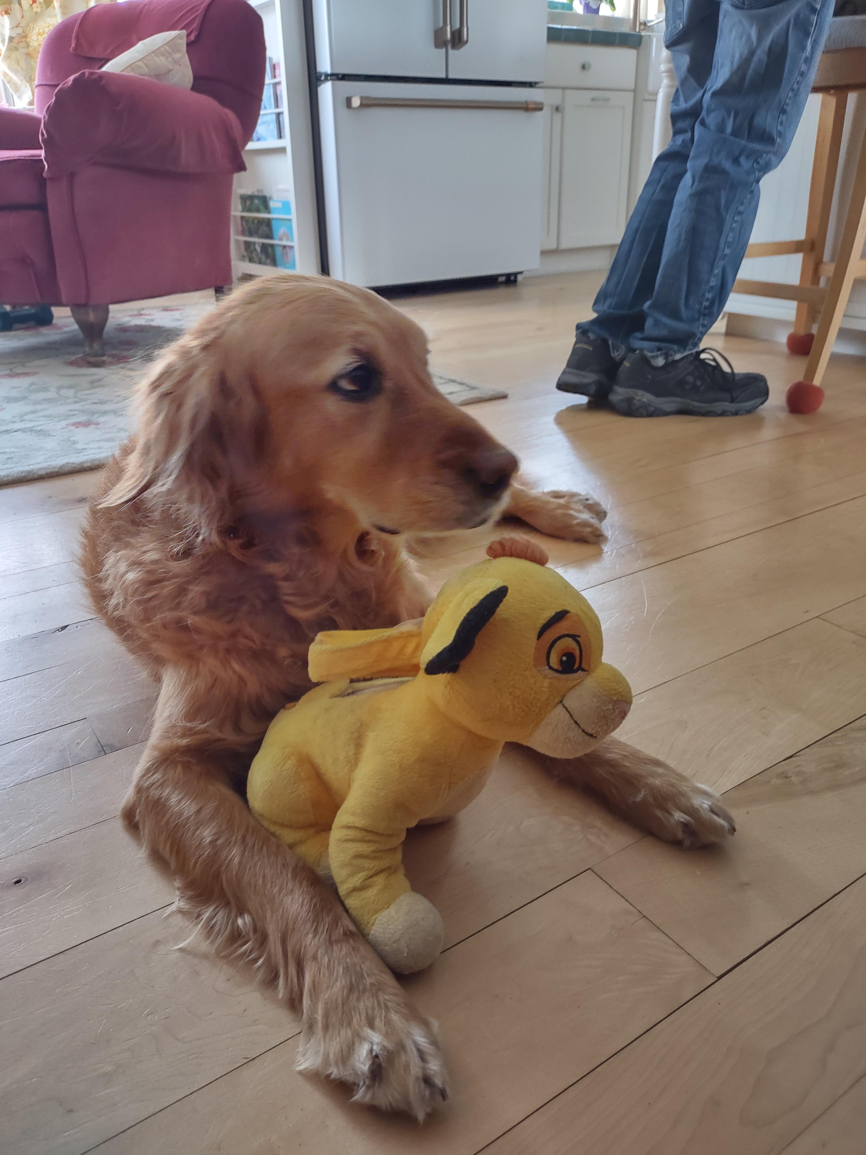 She went and grabbed her sleep toy and is definitely giving us the look to leave...