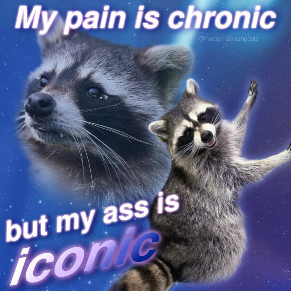 Meme dump 119: resourceful raccoons