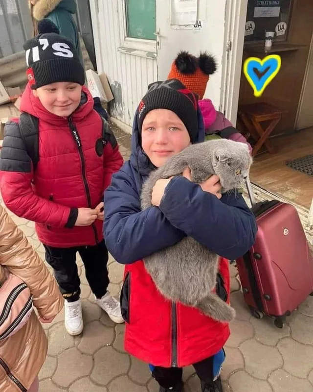 Ukrainian kids eventually found their cat.