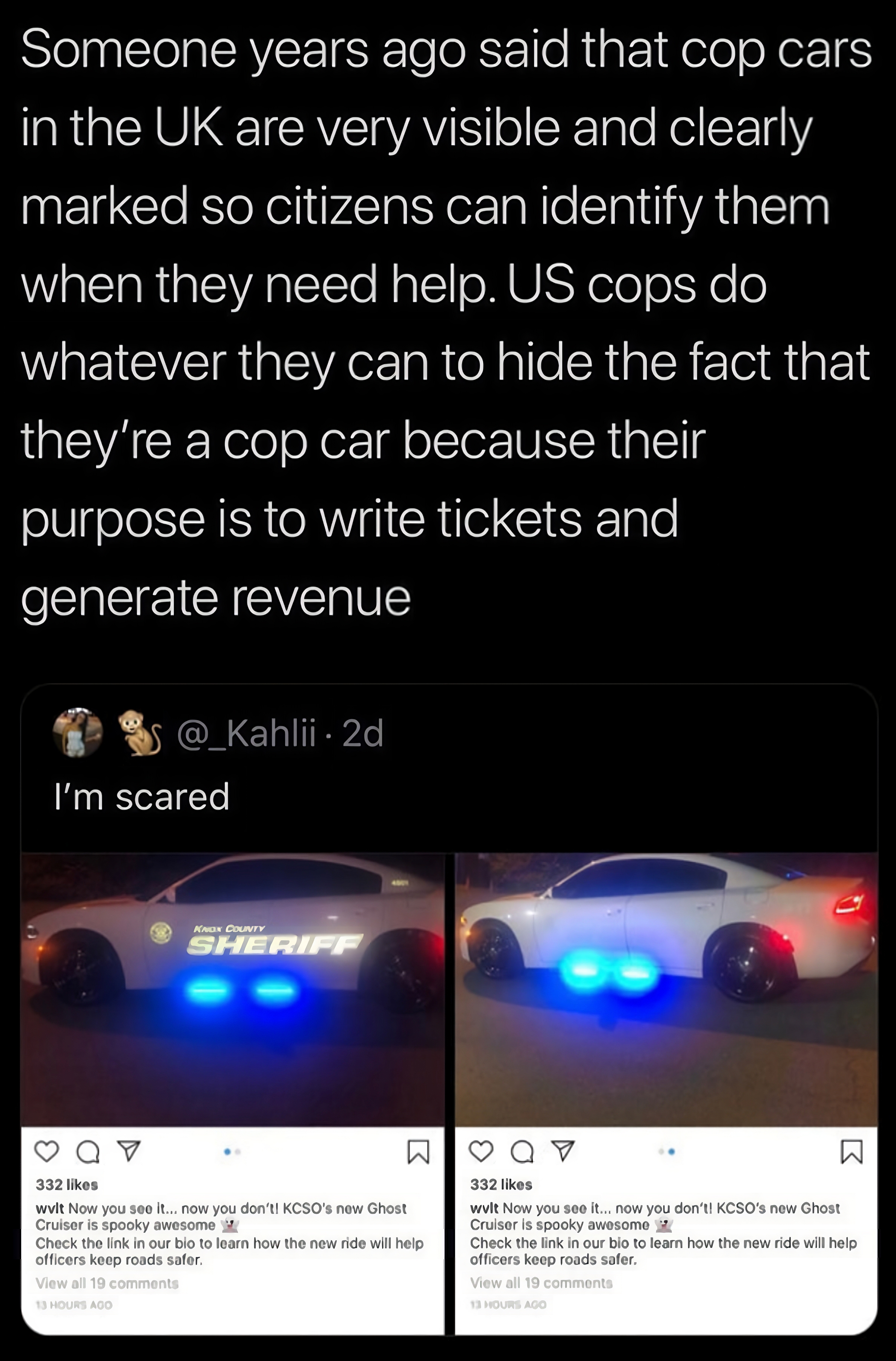 To Protect and Serve Their Own Desires