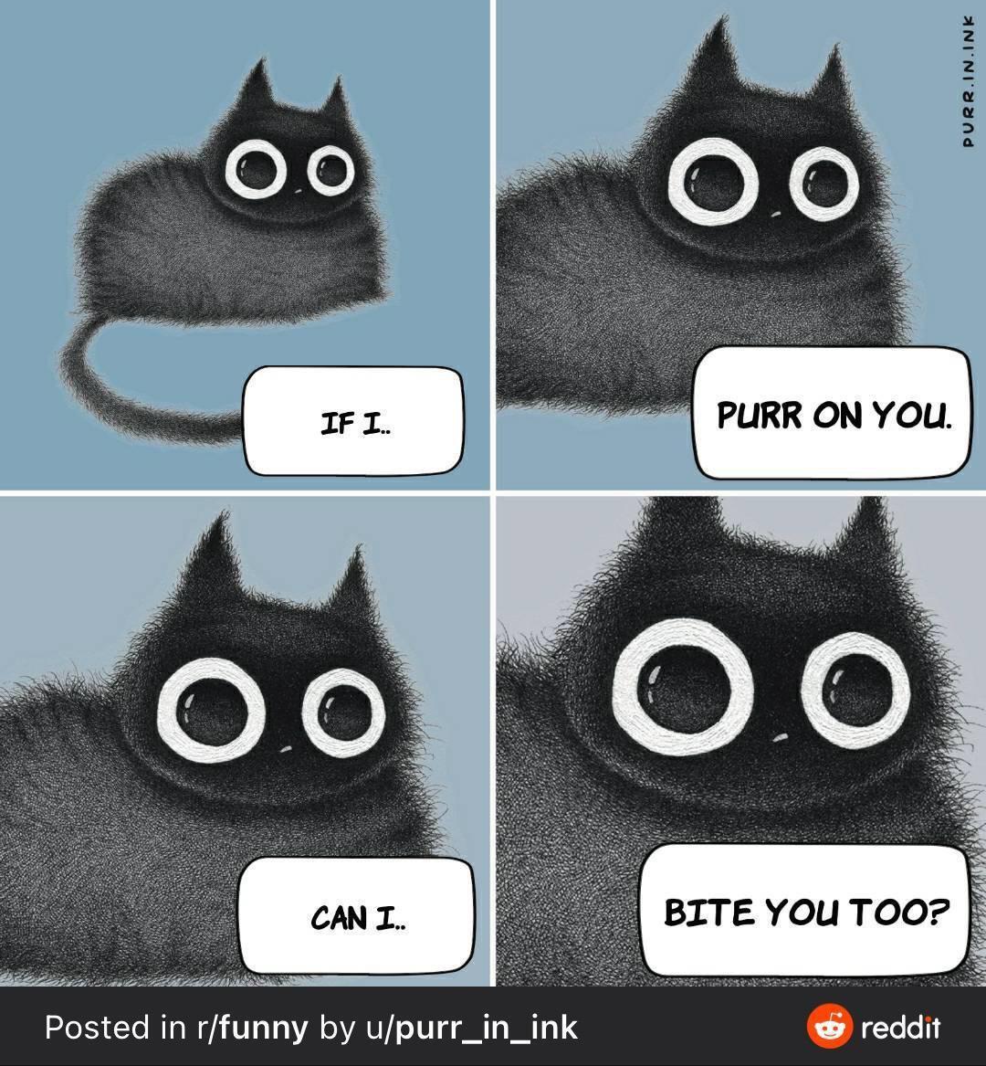 Happy black cat day?&zwj;⬛?