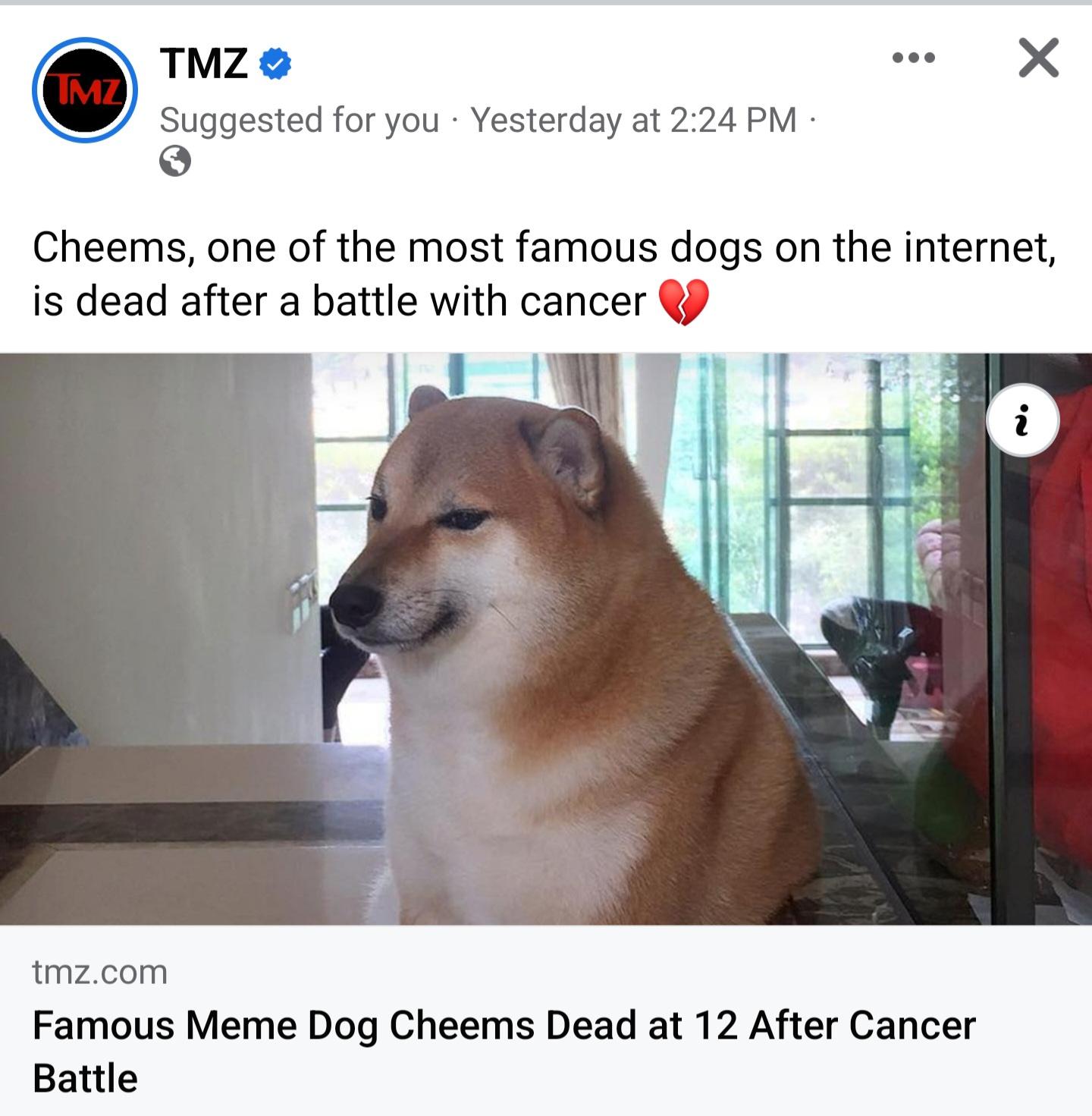 Rest peacefully good boi. You will live on in infamy. Belly scritches forever. :.(