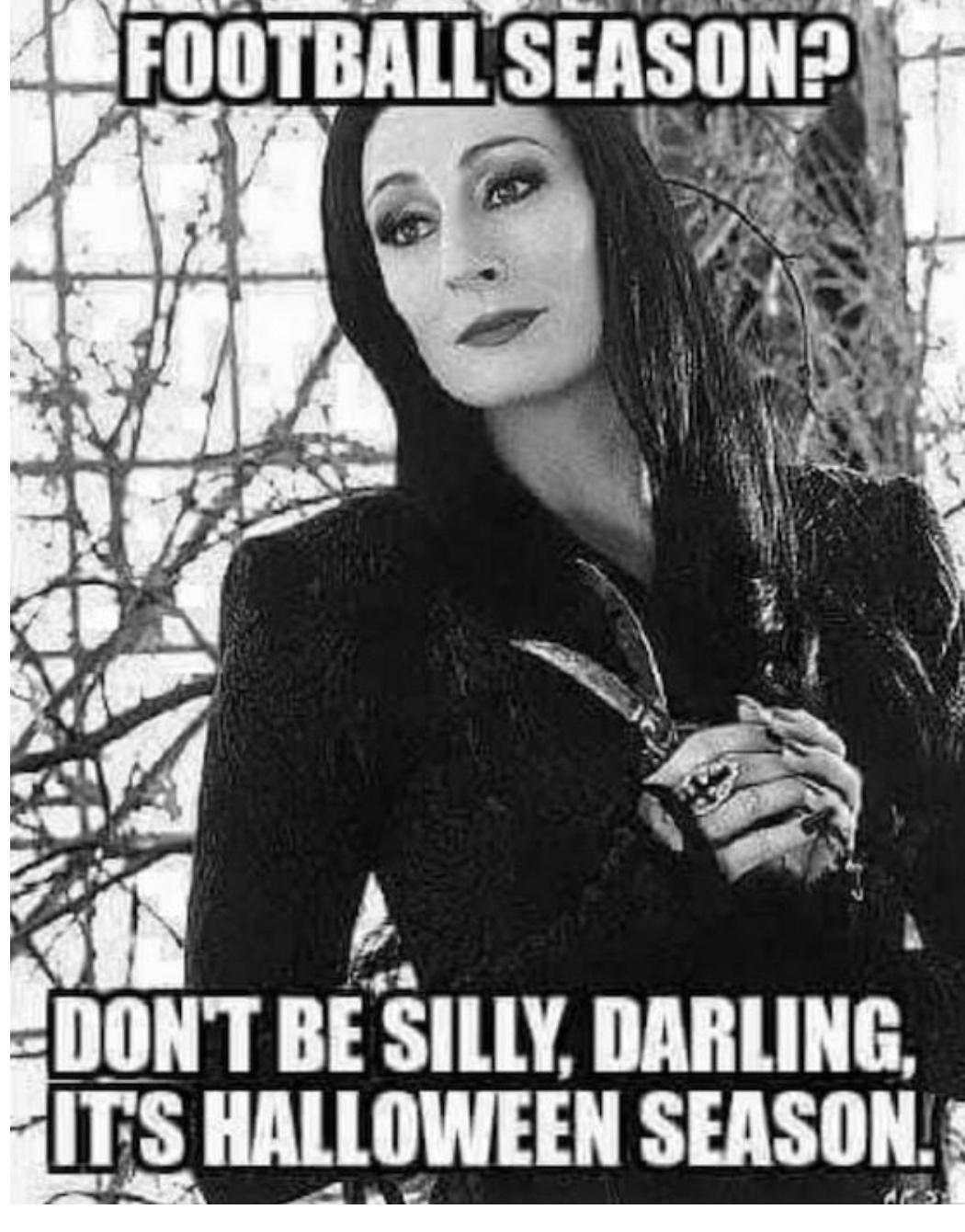 &ldquo;a kite is a victim you are sure of. you love it because it pulls.&rdquo; ― Leonard Cohen