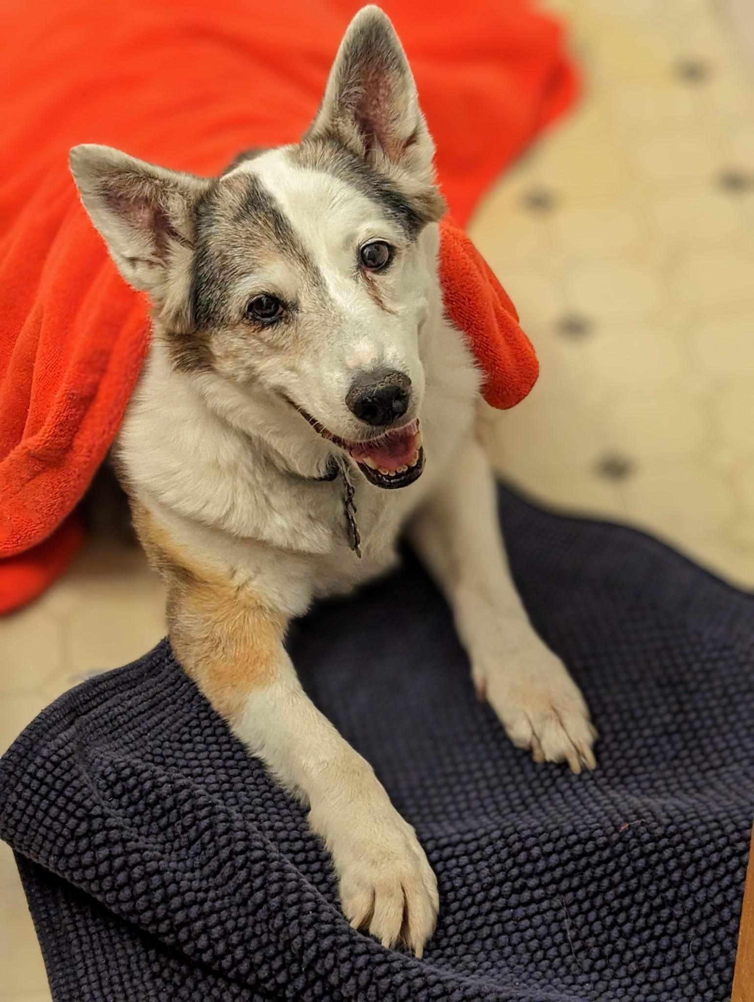 After 14 wonderful years. I lost one of the best things in my life yesterday. I will miss you Soo much.