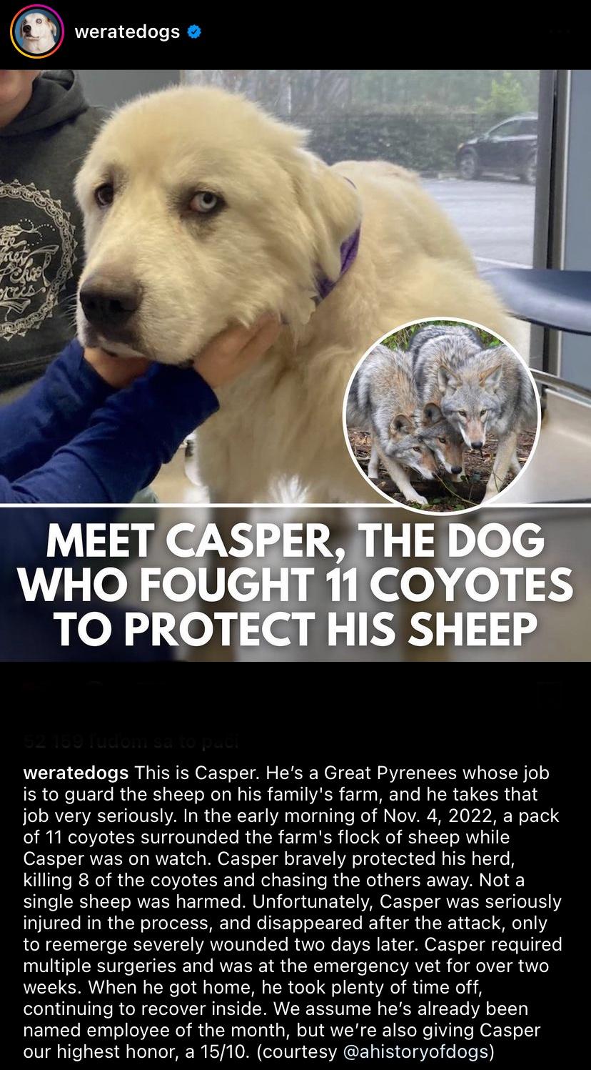 Casper for mayor