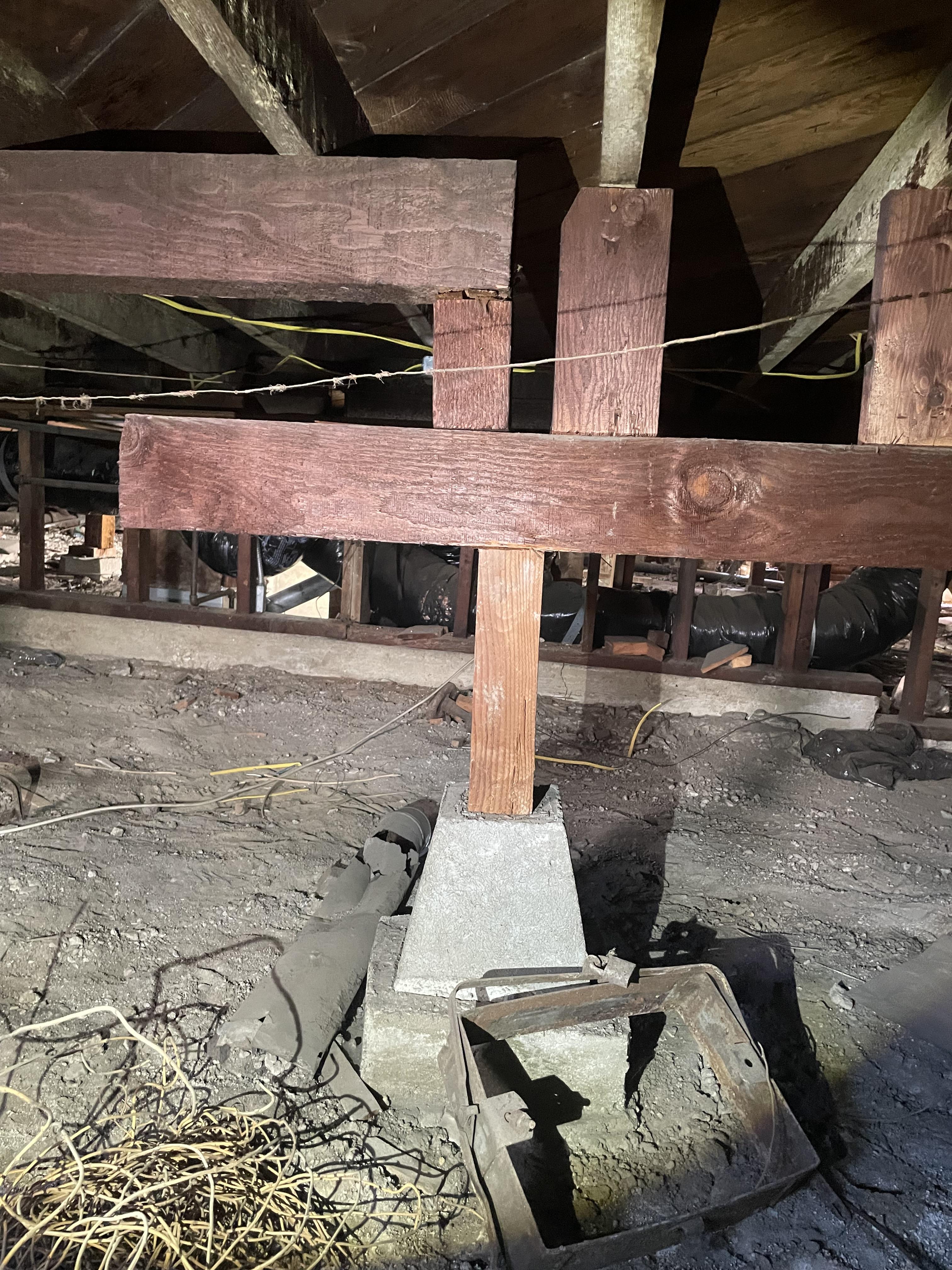 Things seen this week during structural assessments!