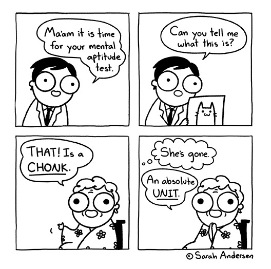 Meme dump of things that made me laugh.