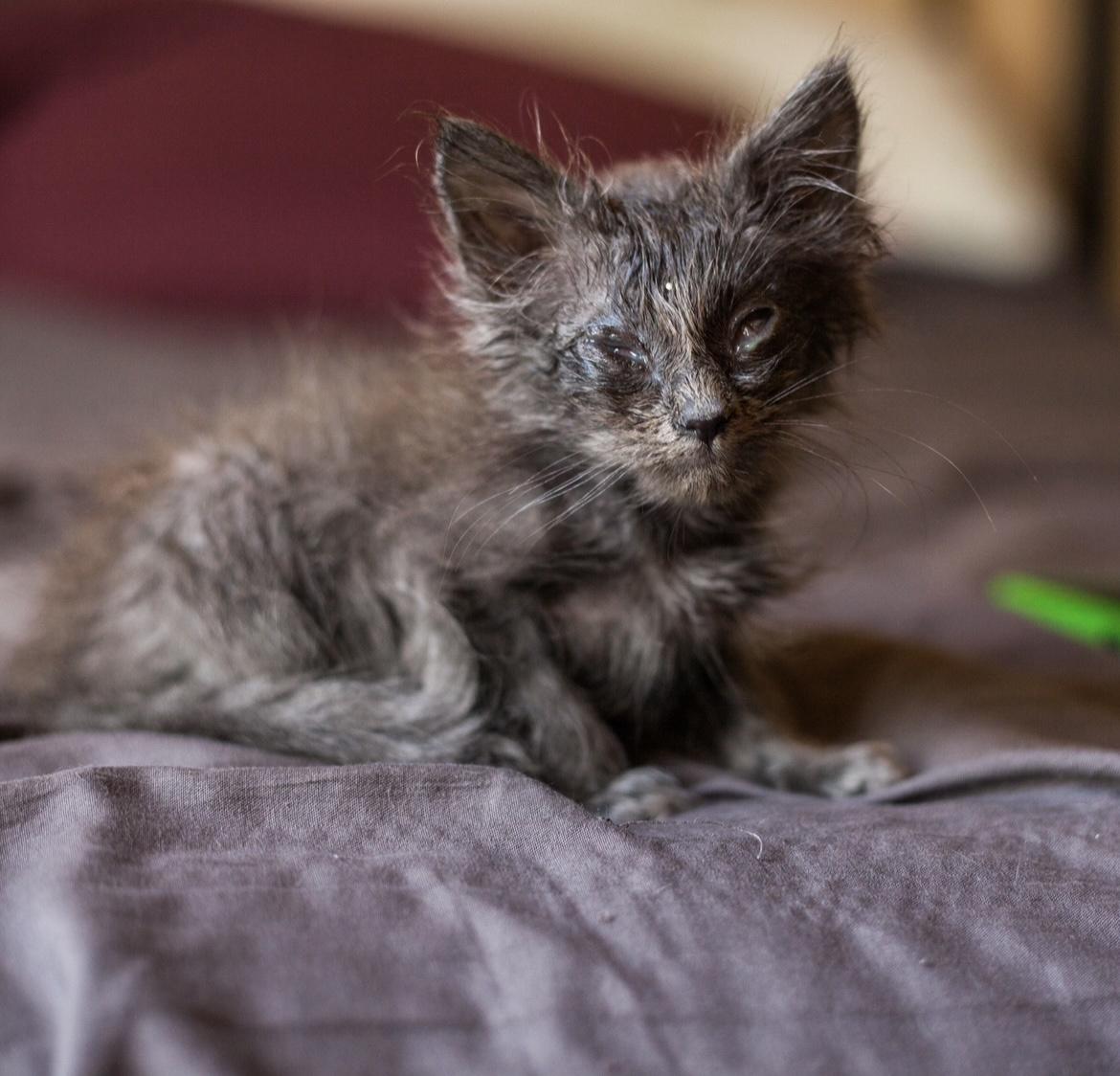 Before and After I Got Kace