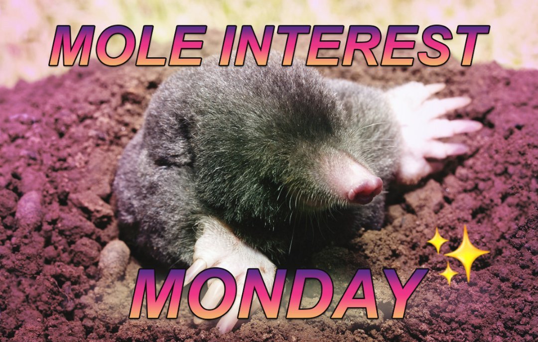 Images of Note: Mole Interest