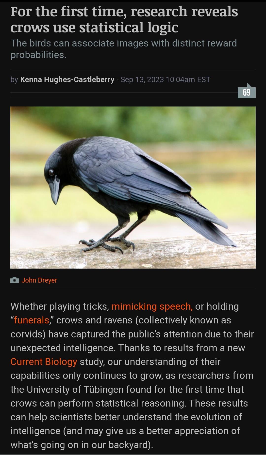 Crows do math