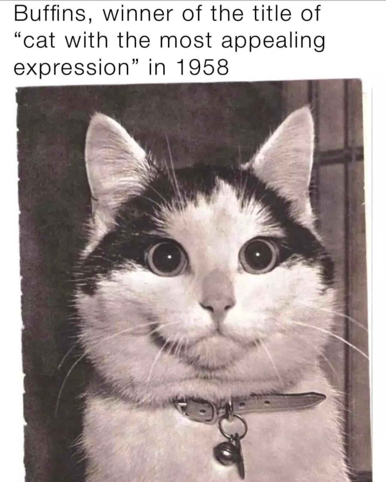 Wasn't there but seems fair