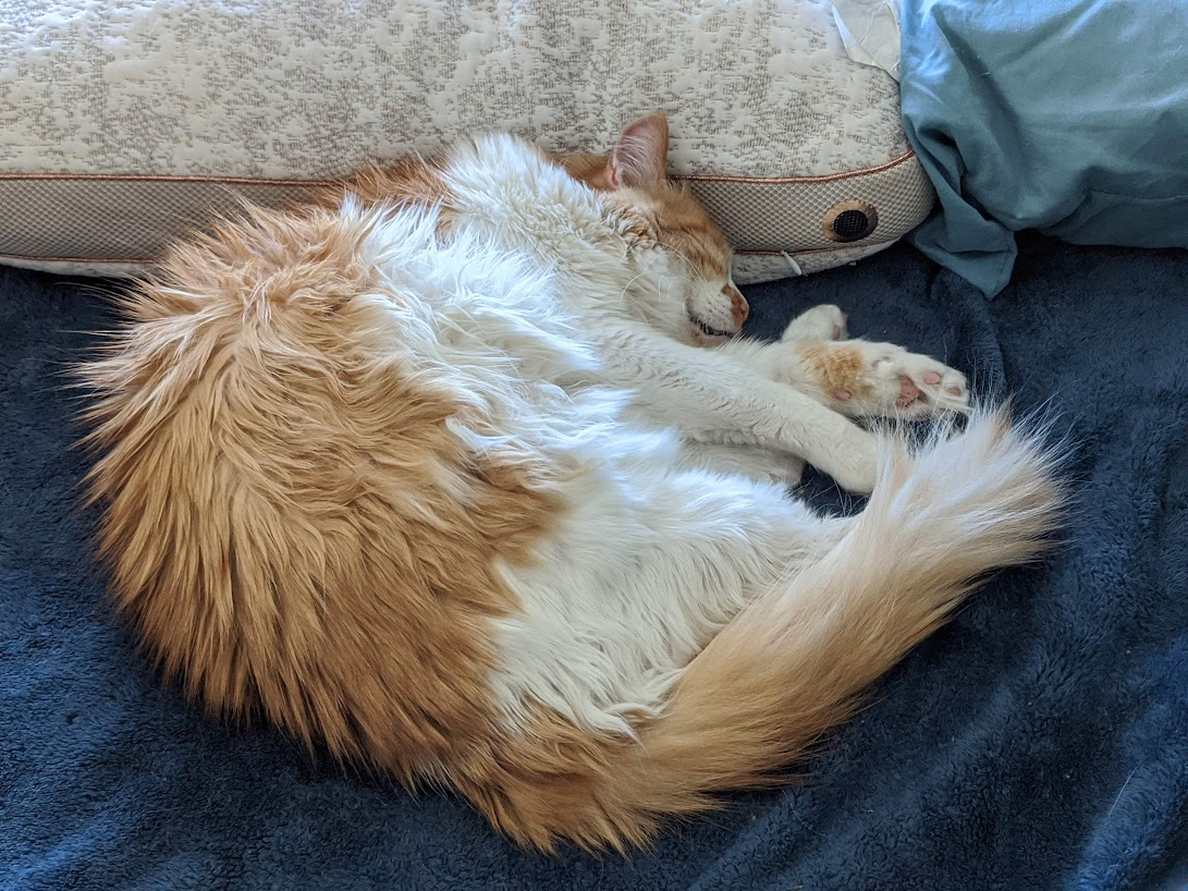 More photos of Jaffur in our new room. We are doing so much better.