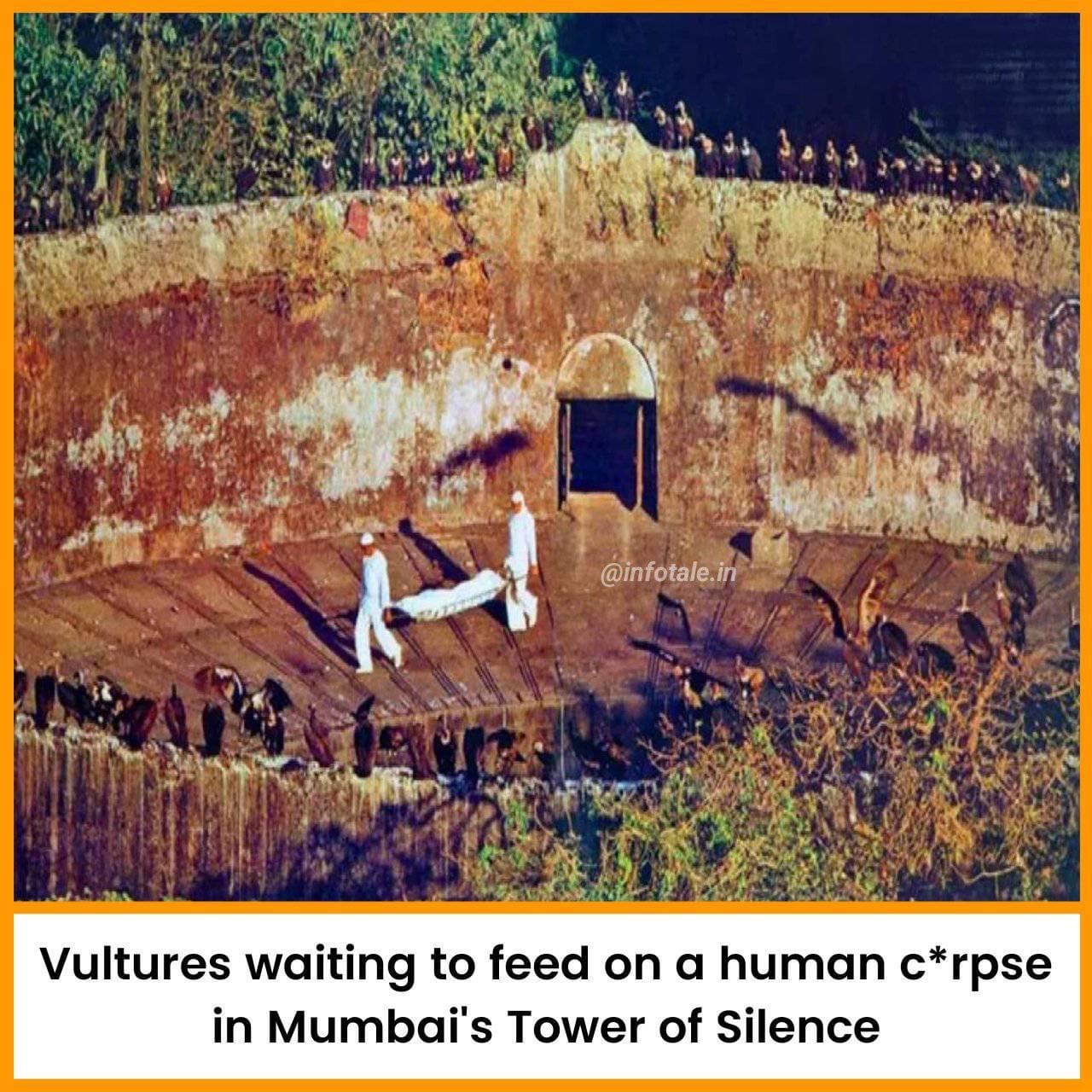 This is a Zoroastrian religious tradition. They do not bury or cremate their dead but leave them on mountain top or a high minaret called &ldquo;tower of silence&rdquo;. It is an ancient Persian religion before Islam took over Iran.