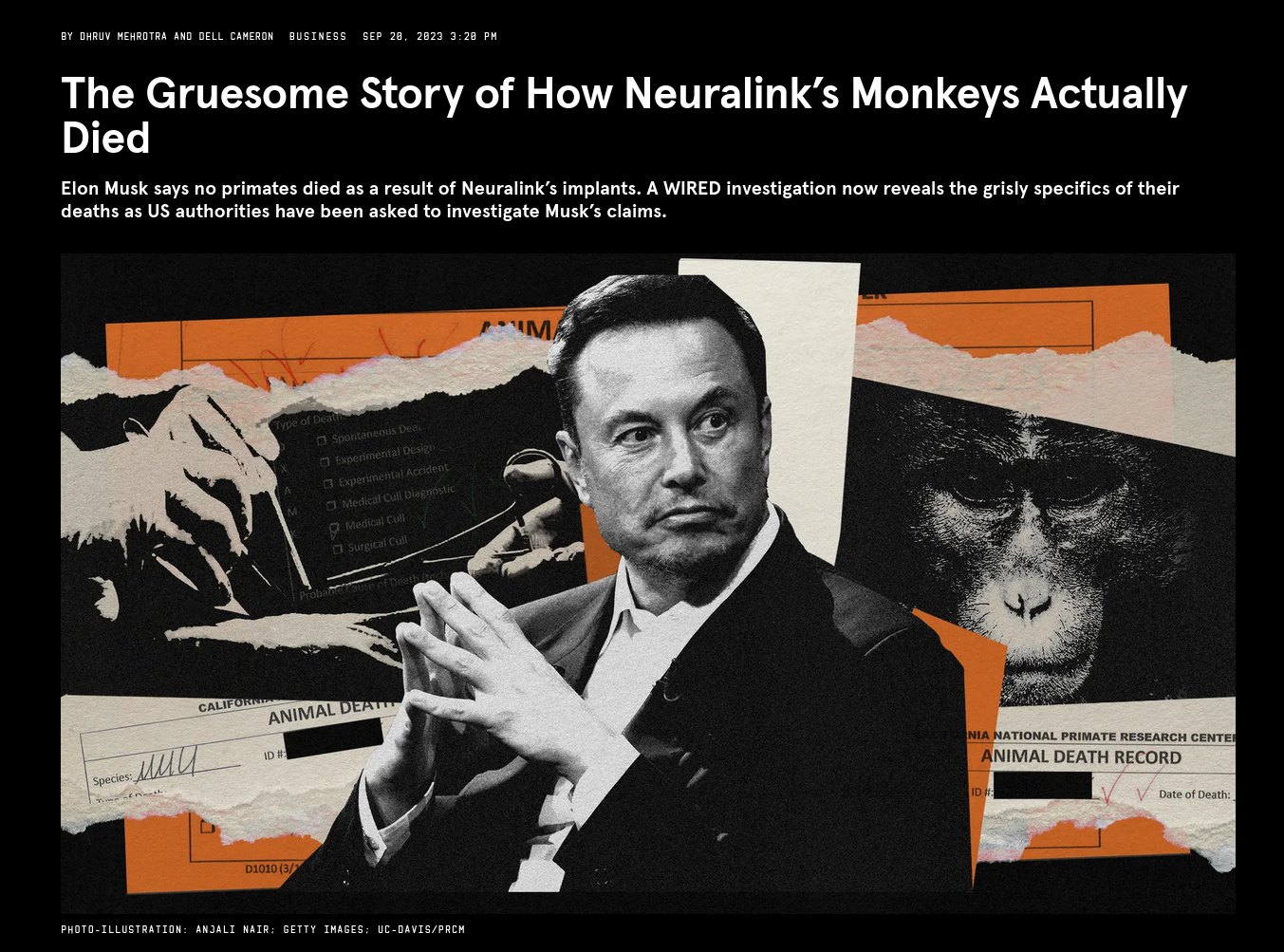 The Gruesome Story of How Neuralink&rsquo;s Monkeys Actually Died