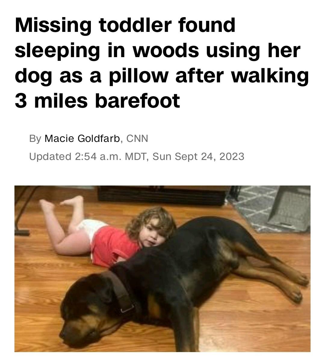 They're good dogs, Bront.