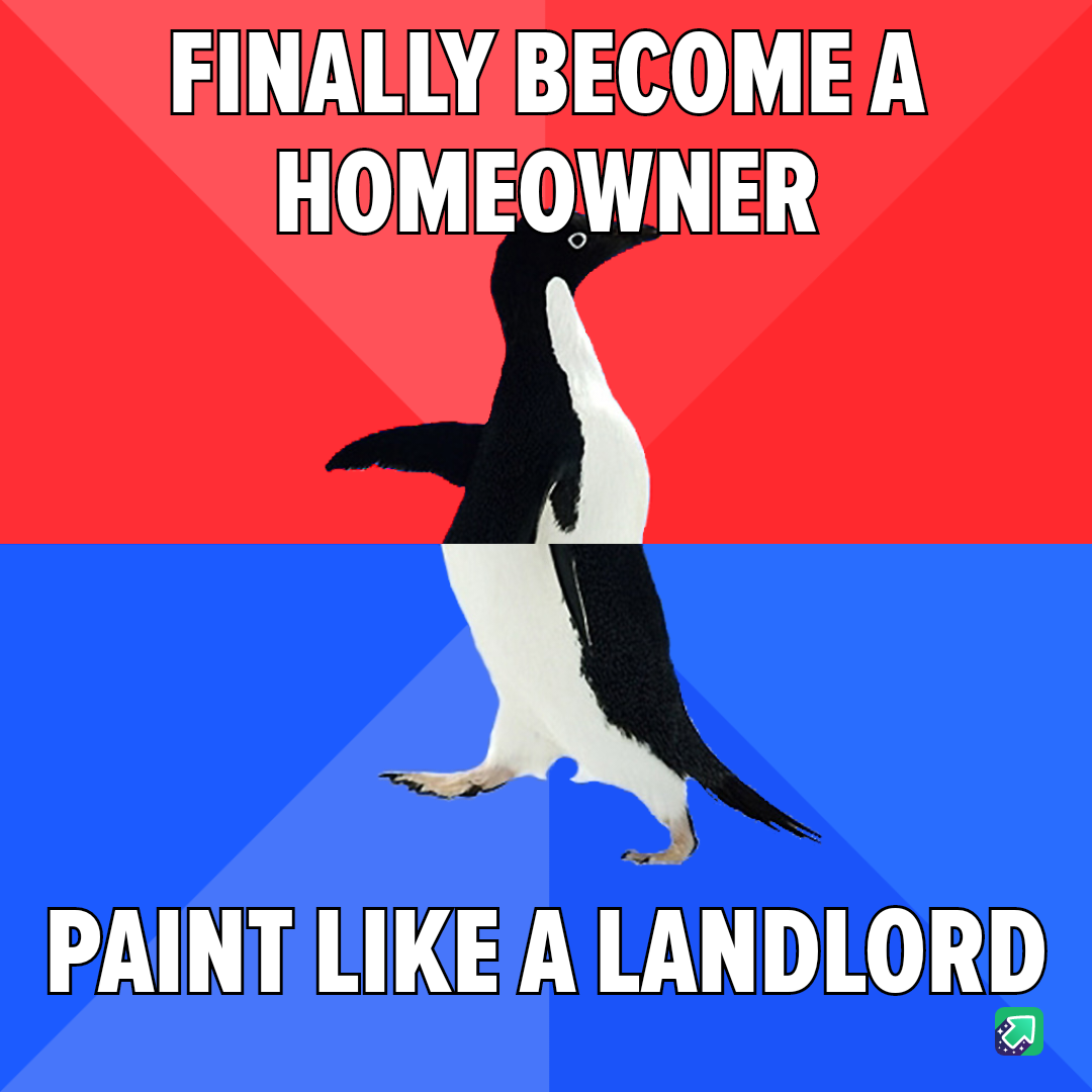 I suck at this homeowner thing