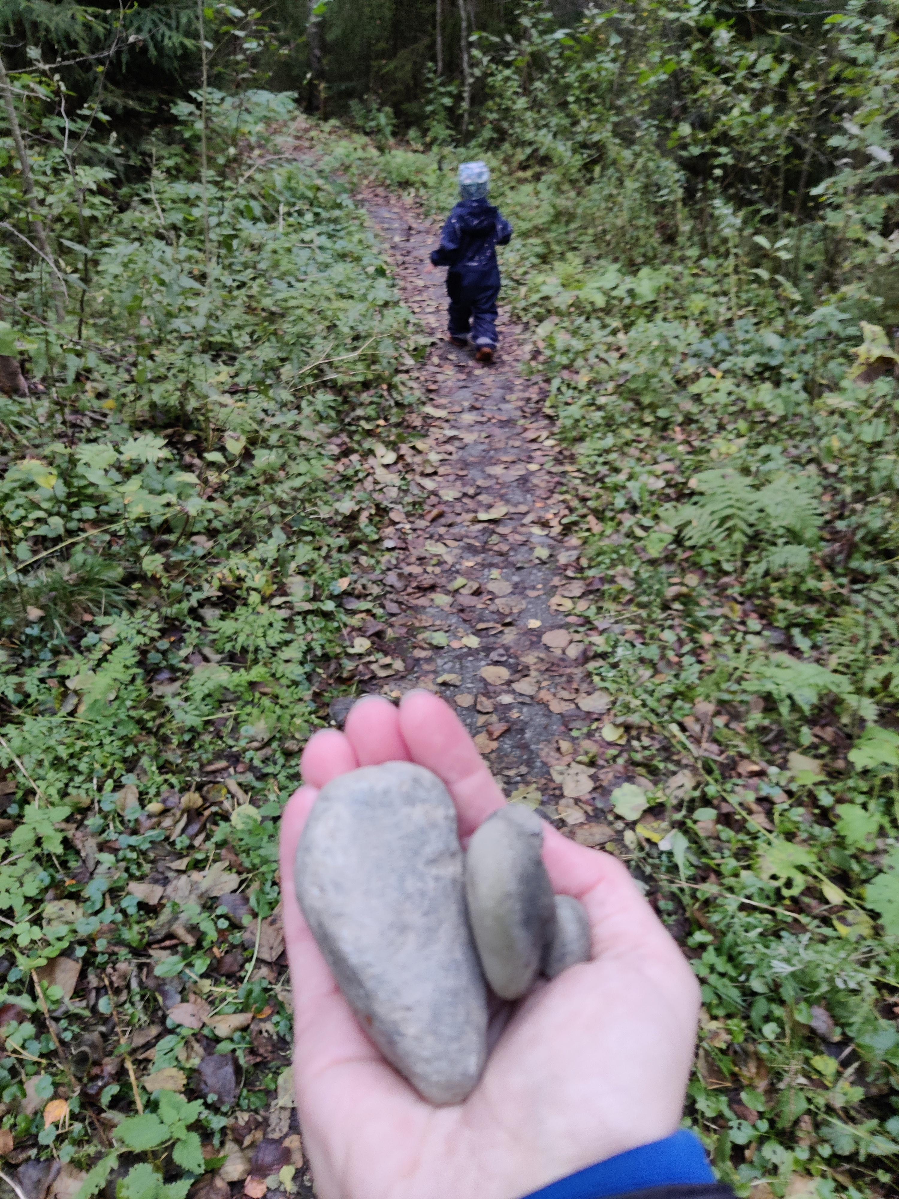 Today we went to a routine checkup and found out the baby is dead