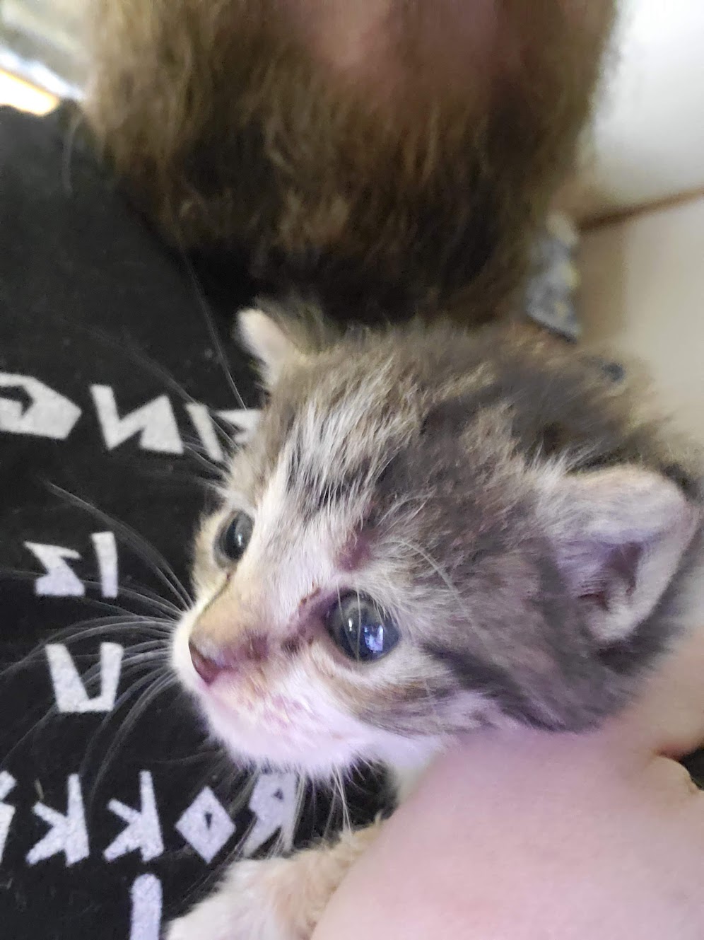 I lost a best friend today