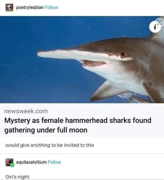 "F*ck boys, I just wanna dance tonight."