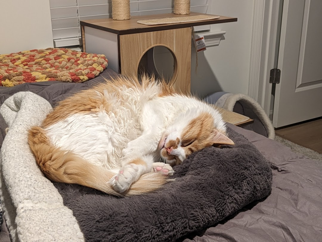 The VA approved my disability. Any help at all for this month will help so much.