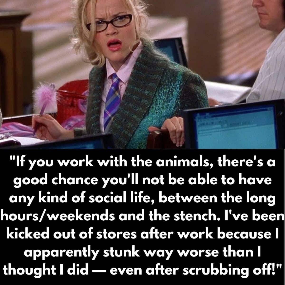 Things zoo workers have said ...