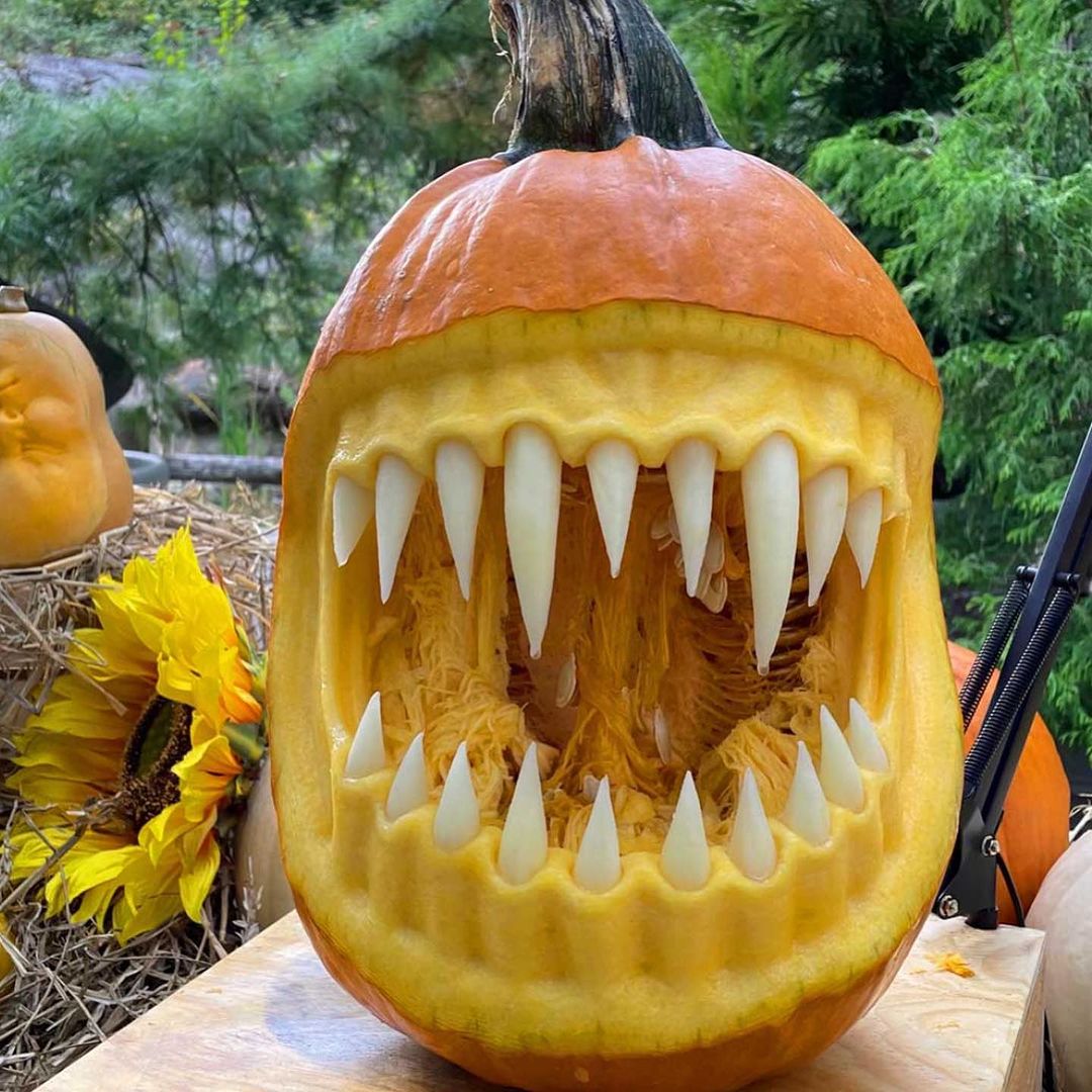 overly saturated fall pics & halloween shenanigans (part 17)