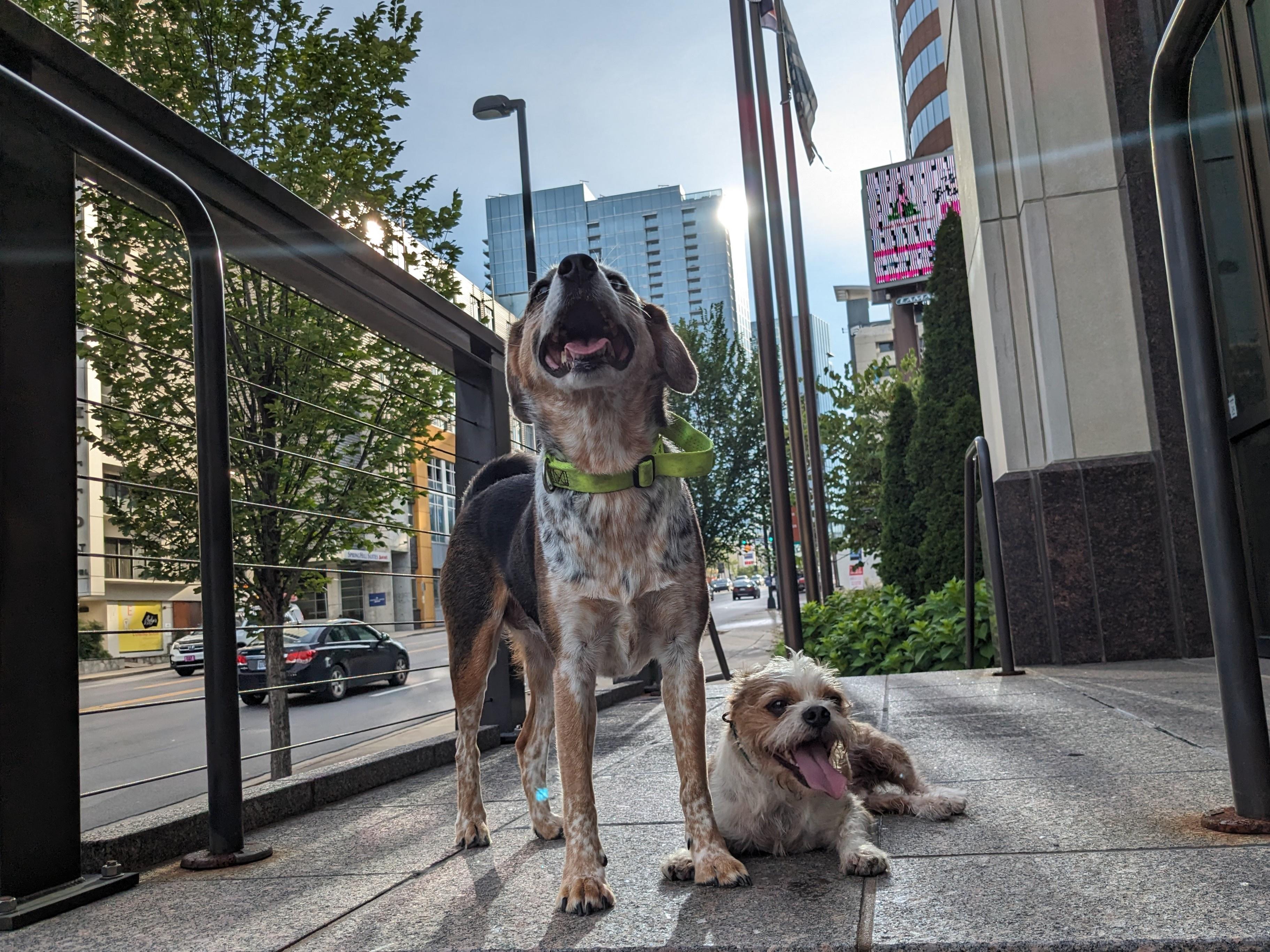 Goodbye Temporary Pucketts