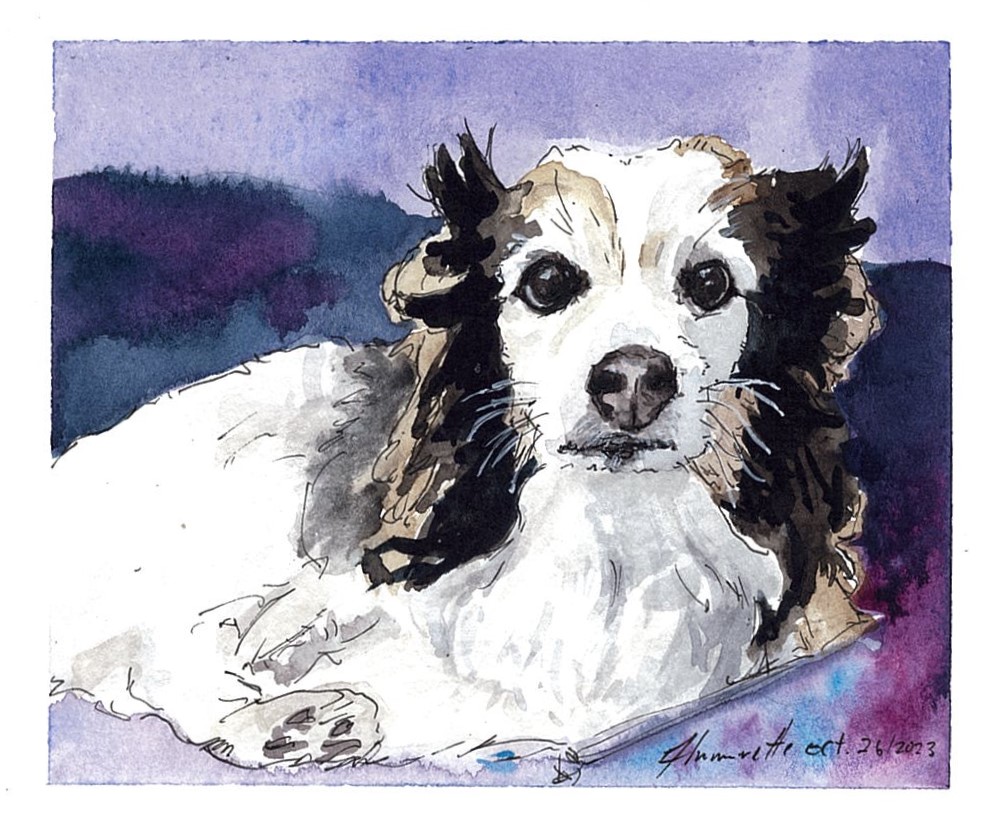 Watercolour if Imgur dog Panko every week