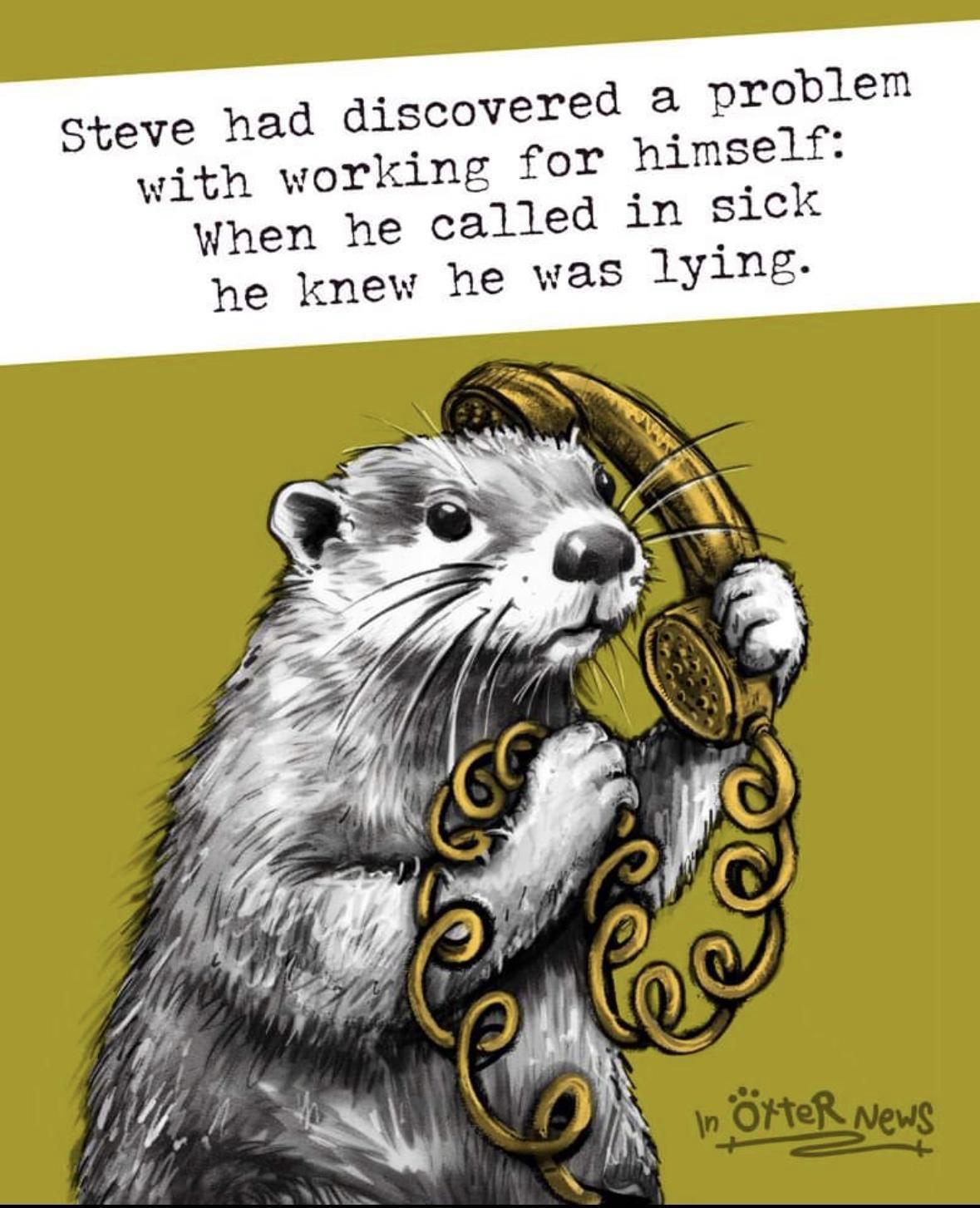 Steve the otter memes