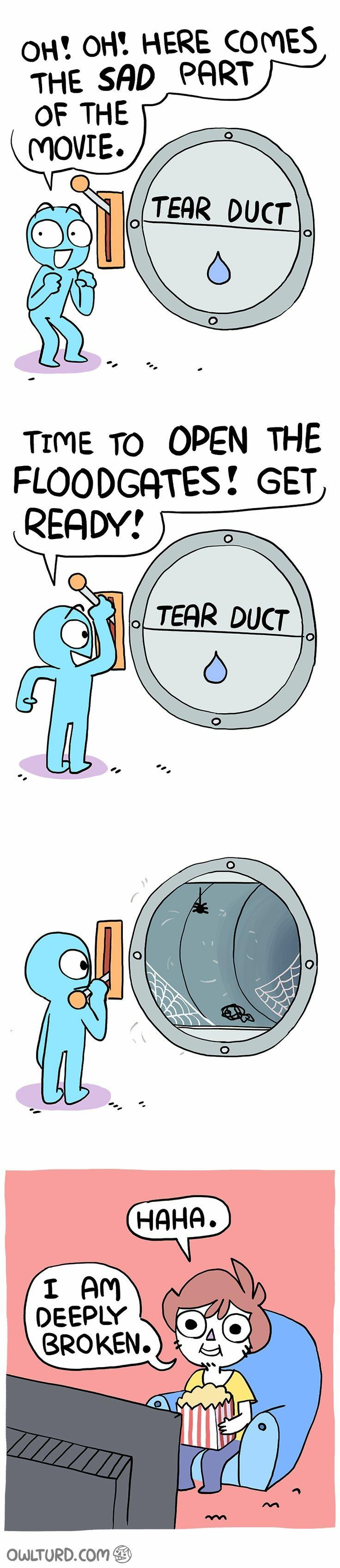 How long has it been?