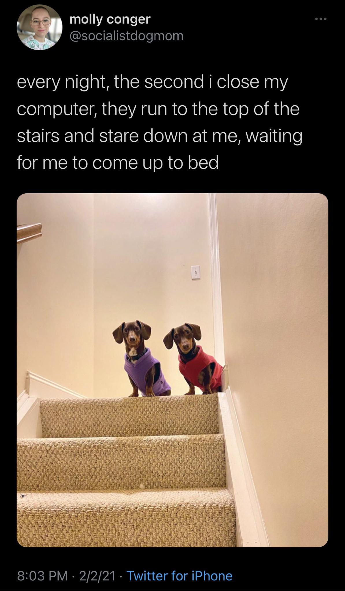 Funny Random Meme and Twitter Dump