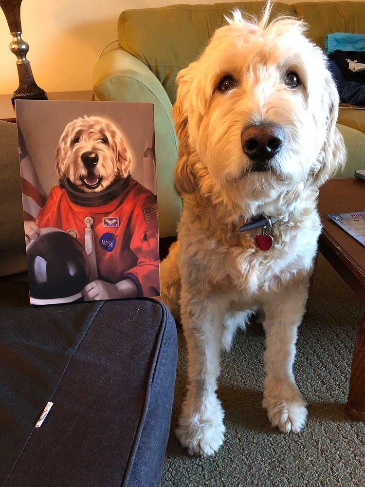 Yes I was drunk when I ordered this. No I don&rsquo;t regert a thing.