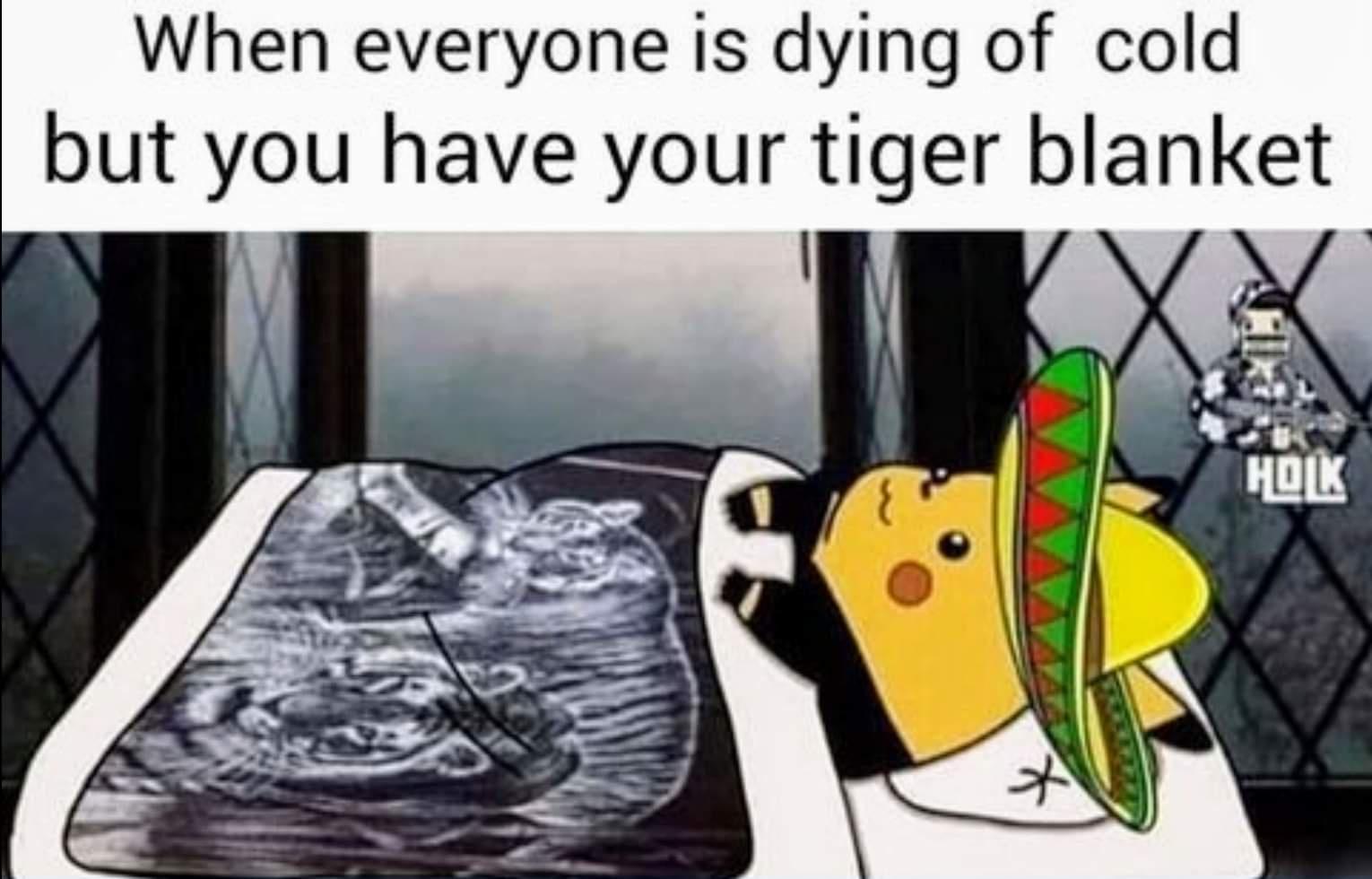 *laughs inside cozy nest*