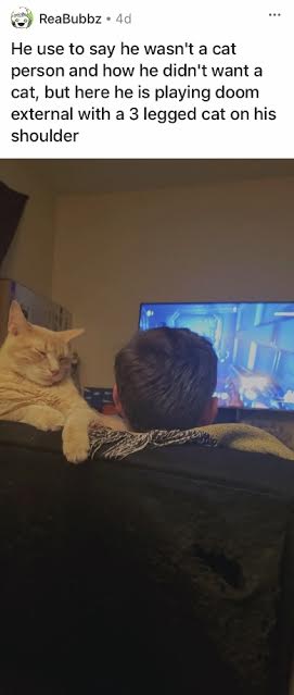 Dads Who Did Not Want Pets