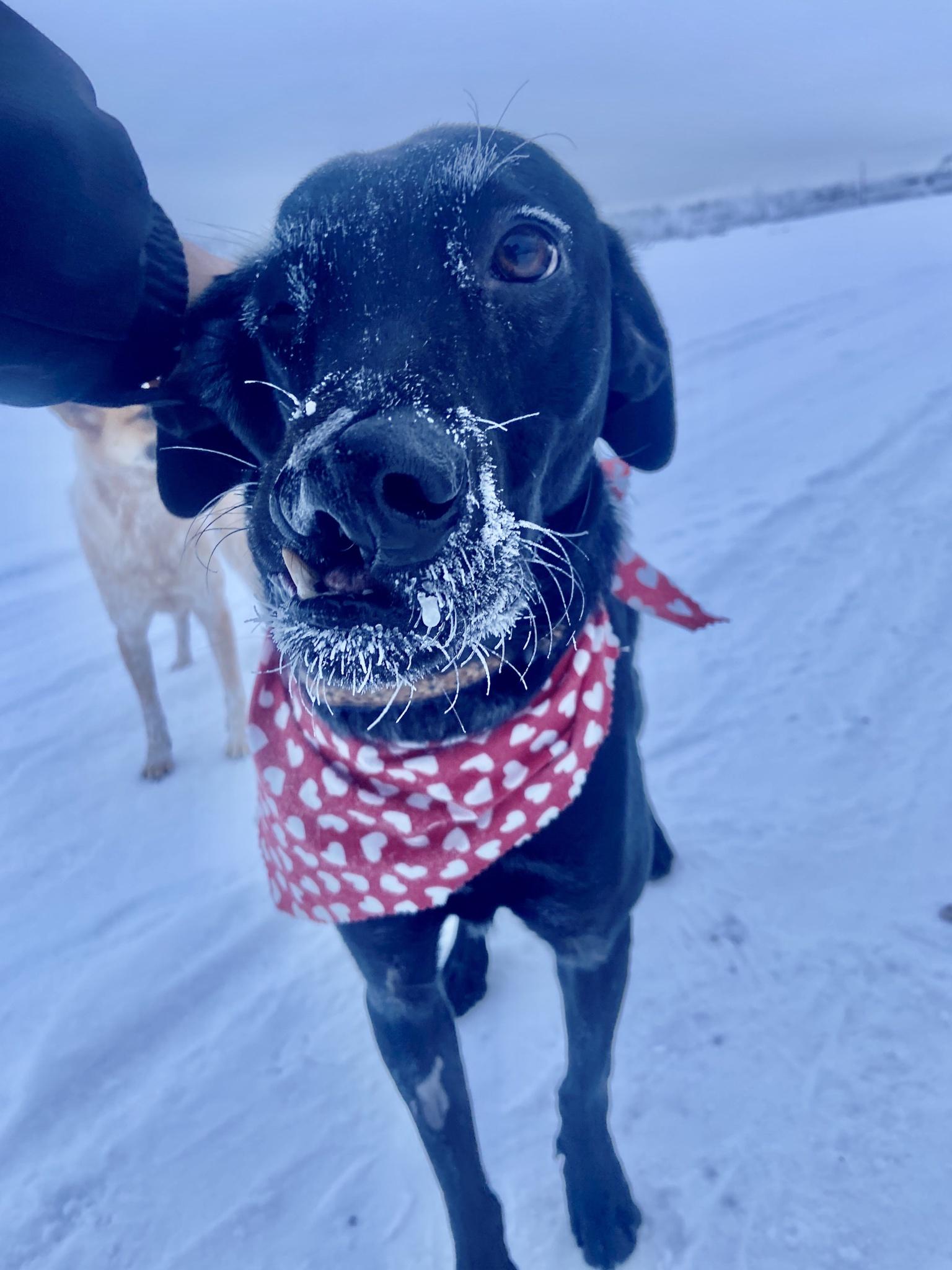 Felix says hi! Another surgery in the books, and he&rsquo;s running down the river already!