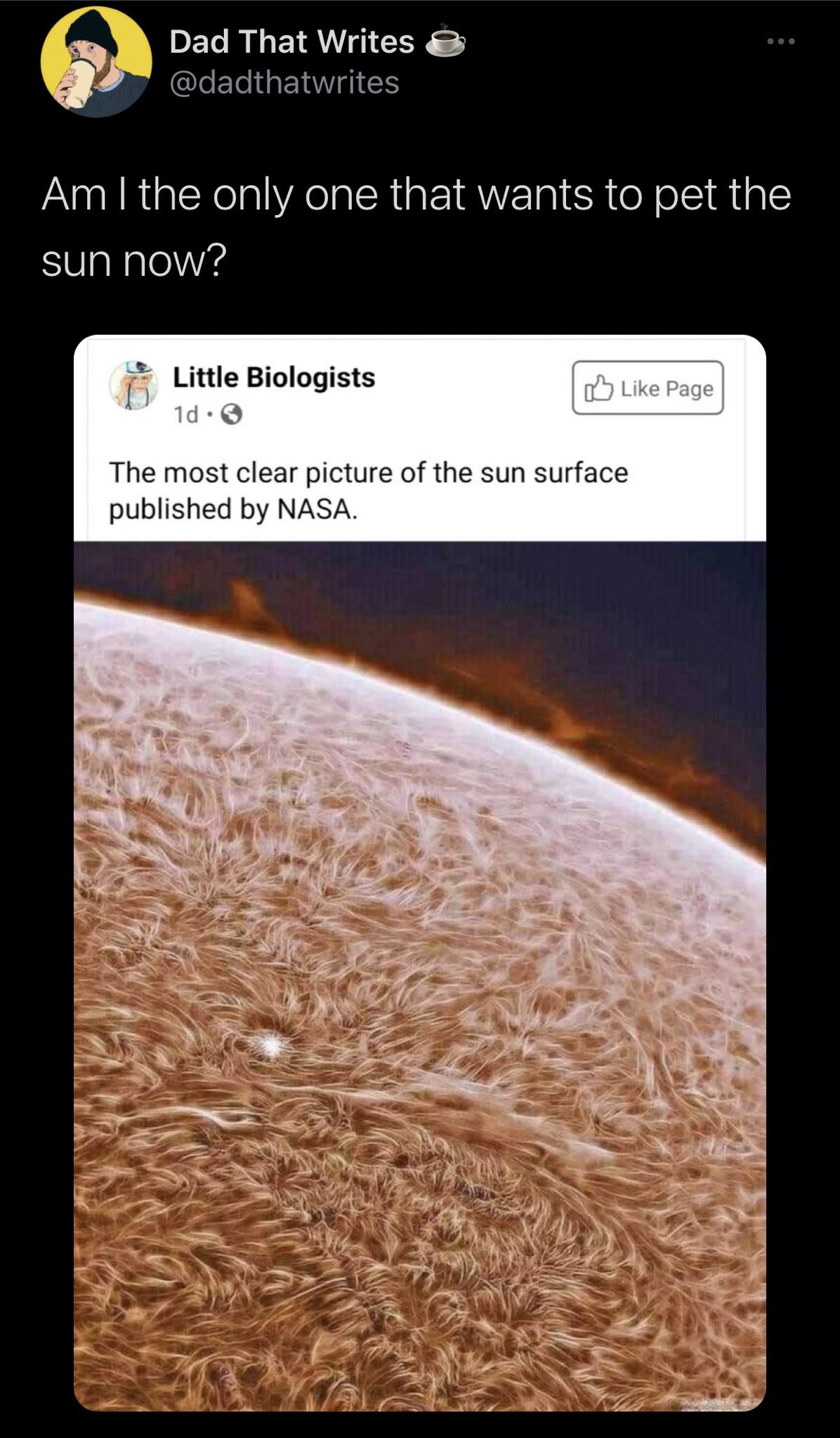 Funny Random Meme and Twitter Dump