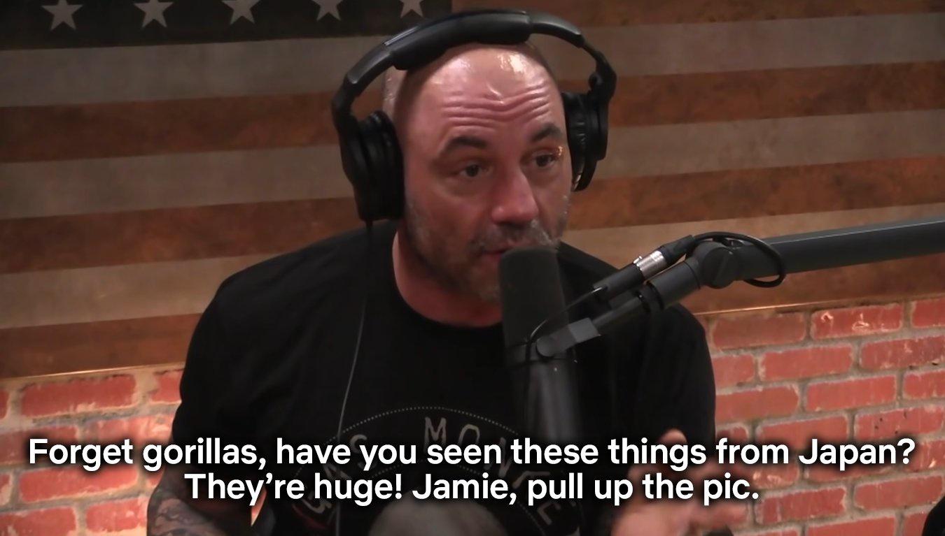 Pull that s*** up, Jamie-kun!