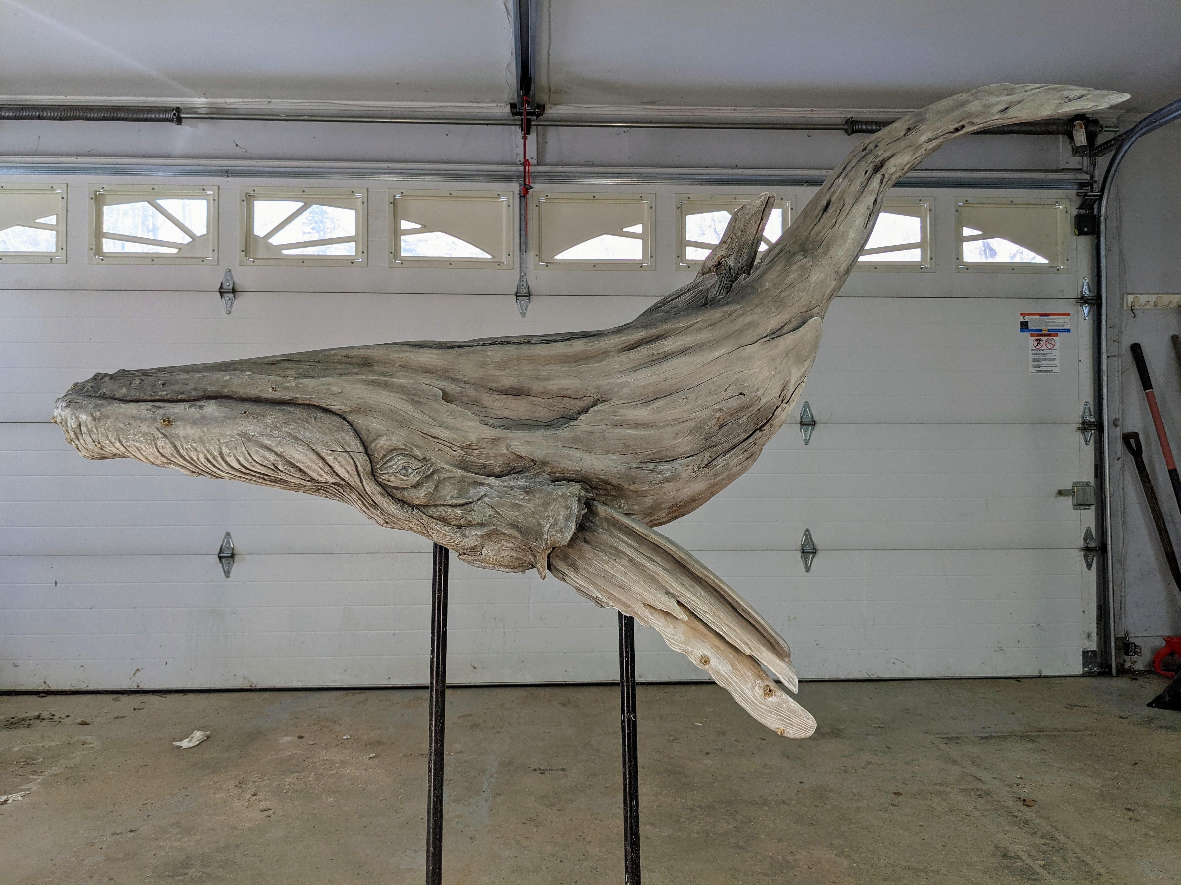 Humpback Whale Driftwood Sculpture by Robert Dowling Jr