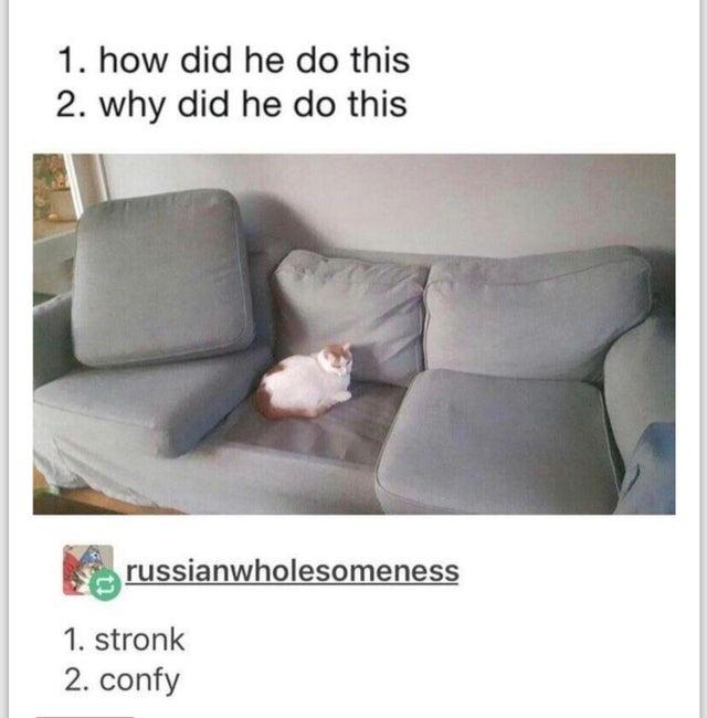 No one knows its ways nor reson