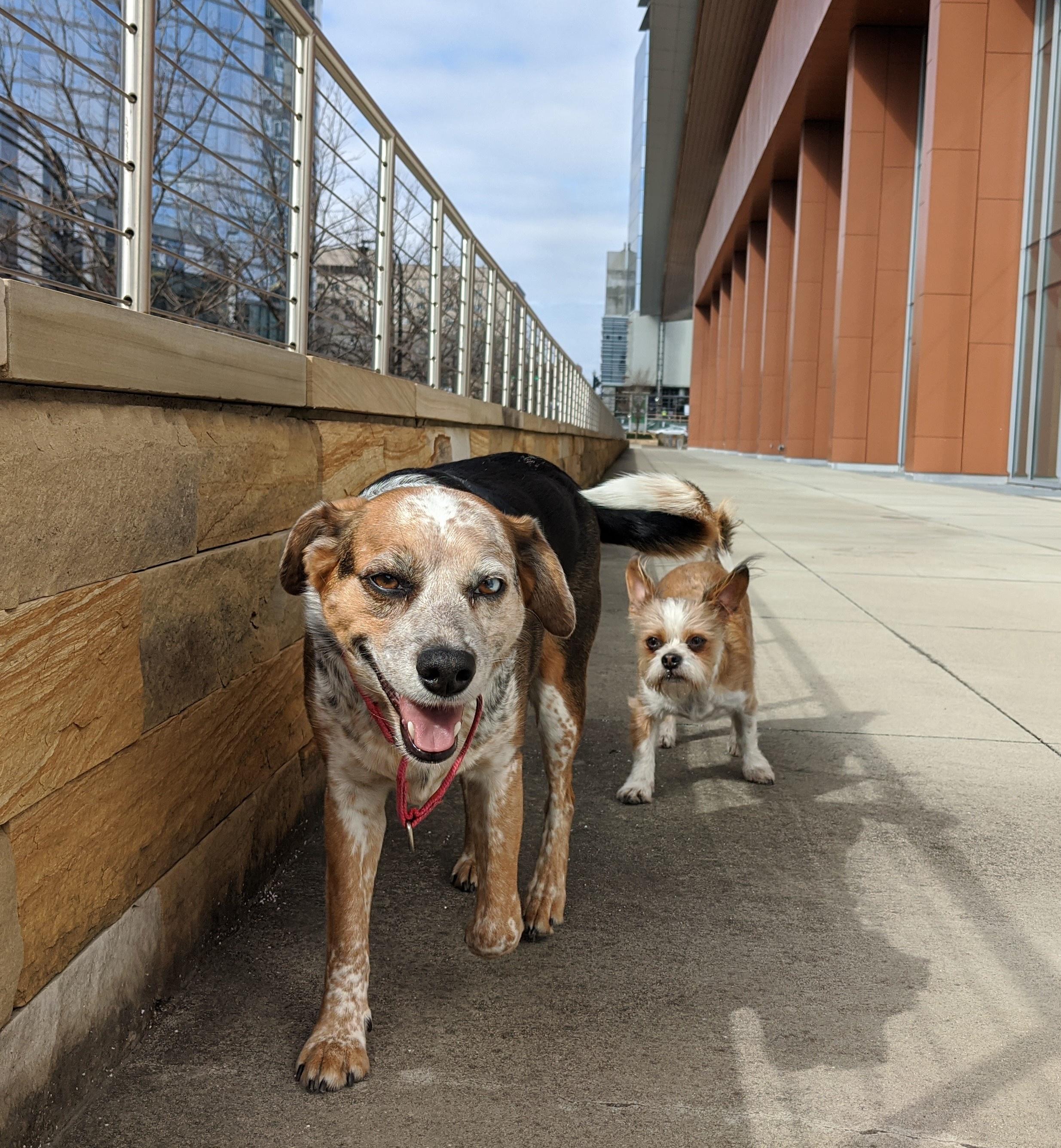 The Puckett Week Supply Drive