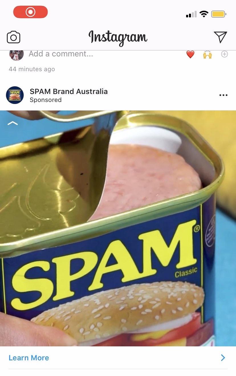 SPAM!