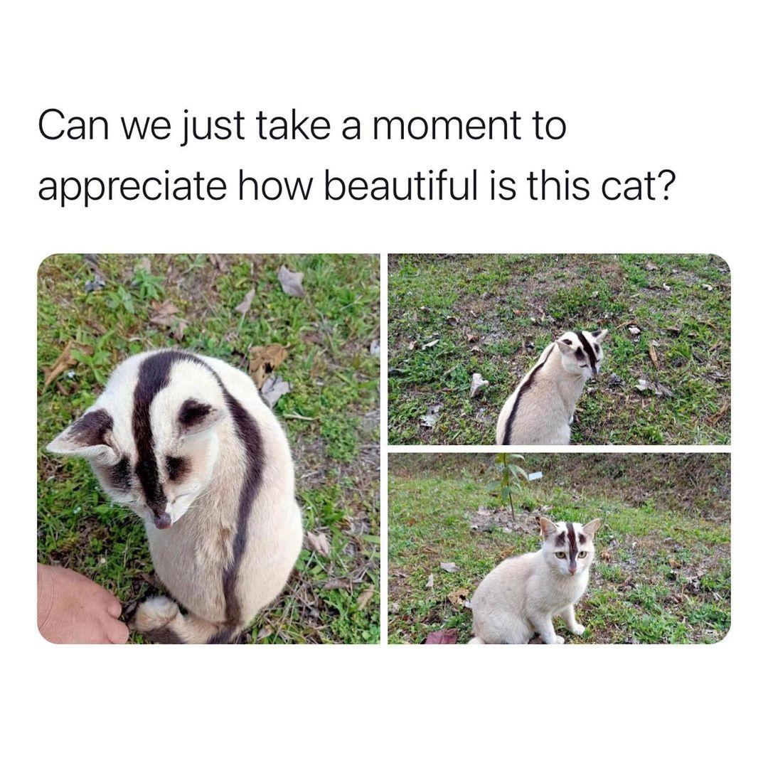 Absolutely unique & beautiful.