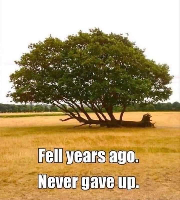 I had these on my phone and now they're here (first time dump, be gentle)